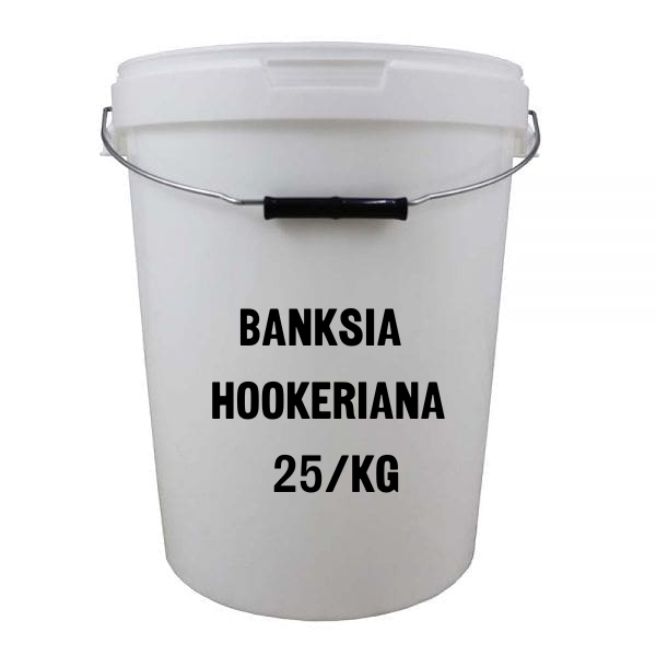 25Kg Banksia Hookeriana Honey - Includes Bucket (Pickup Only Beckenham)
