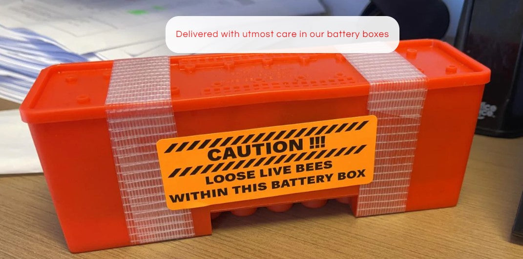 Battery Box and Packaging for Bees (Max: 20 Bees)