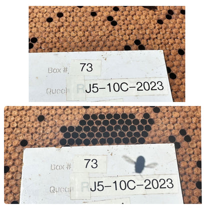 Pin Kill Test Tool 5.4mm (50 pins)