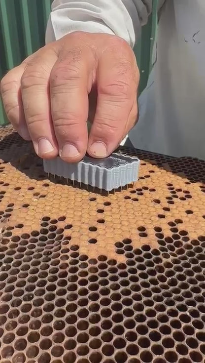 Pin Kill Test Tool 5.4mm (50 pins)